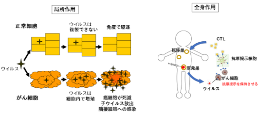 このページのトップへ戻る